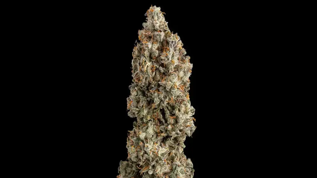 og kush