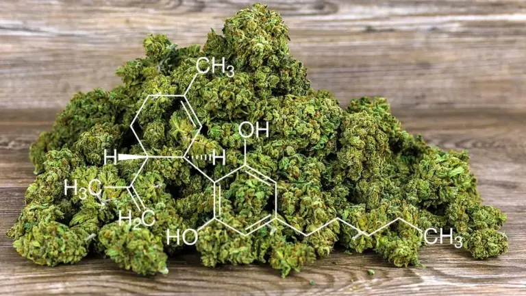cbd-blueten