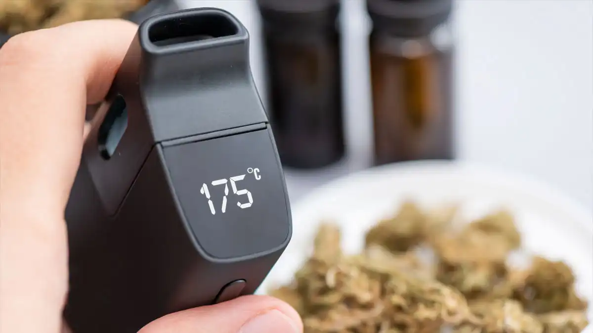 vaporizer und cannabis