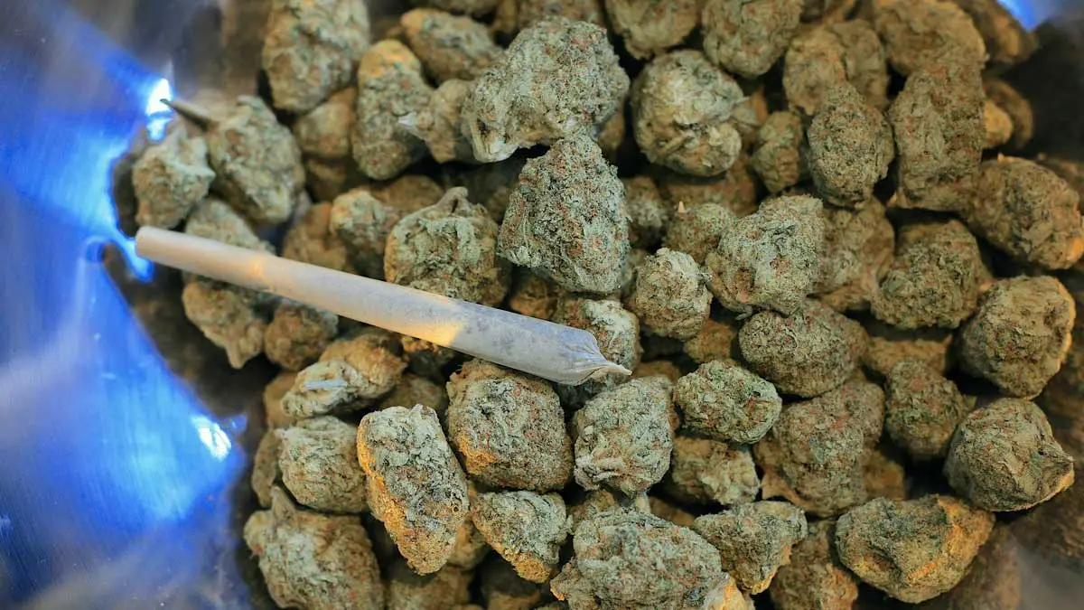 Cones für Joints – worauf es dabei ankommt