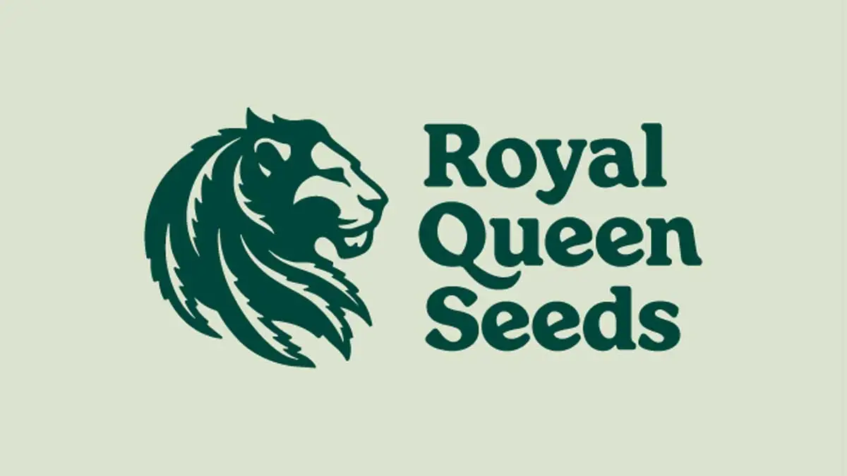 royal queen seeds