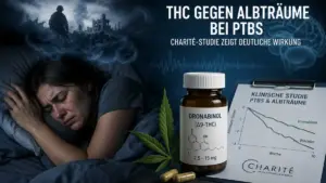 thc-gegen-albtraeume
